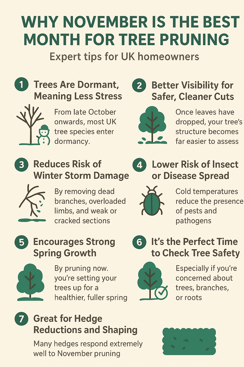 Why November Is the Best Month for Tree Pruning (Expert Tips for UK Homeowners)