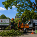 Bedford tree surgeons carrying out summer tree pruning