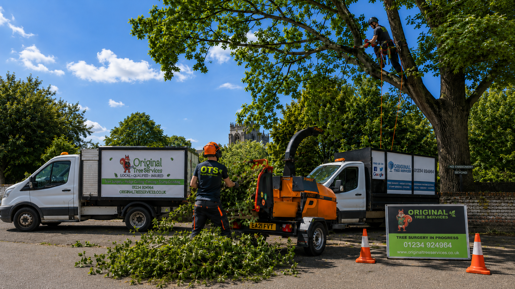 Summer Tree Care in Bedford: Advice From Local Tree Surgeons